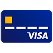Visa credit card