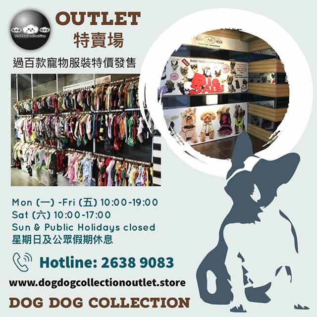 dog dog collection