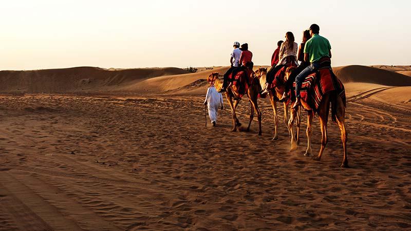 Camel riding
